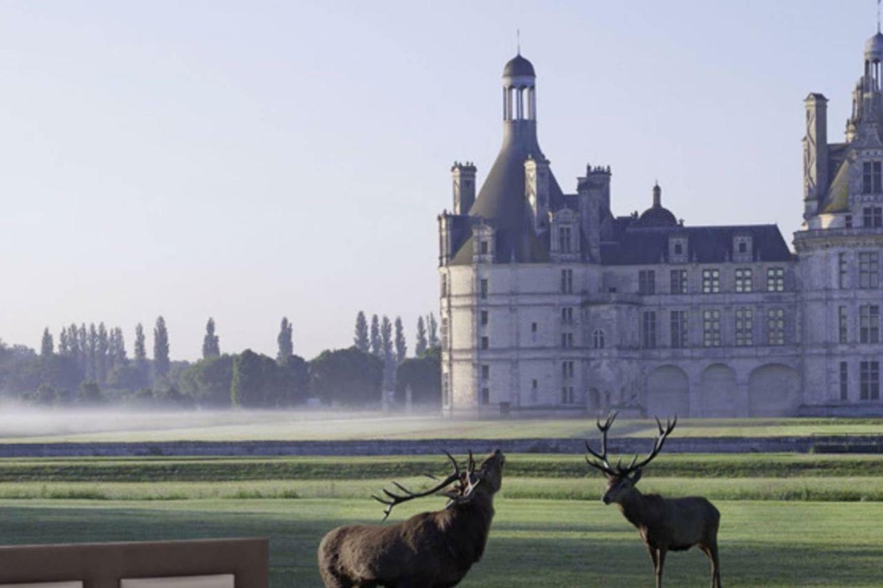 Gite 6P proche Chambord dans écuries de charme Vineuil  Esterno foto